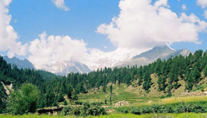 Rama Meadows